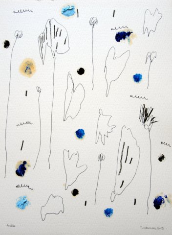 photo45.jpg