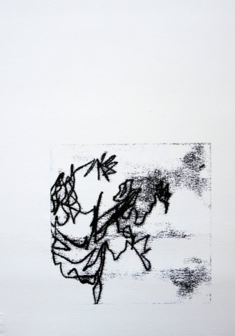 photo76.jpg